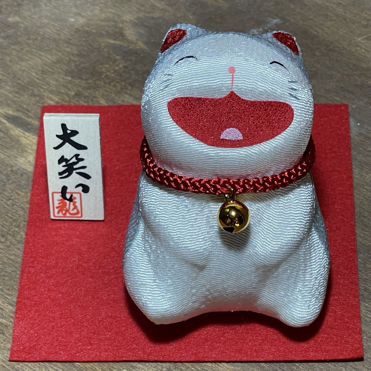 gatto grigio che ride frontale