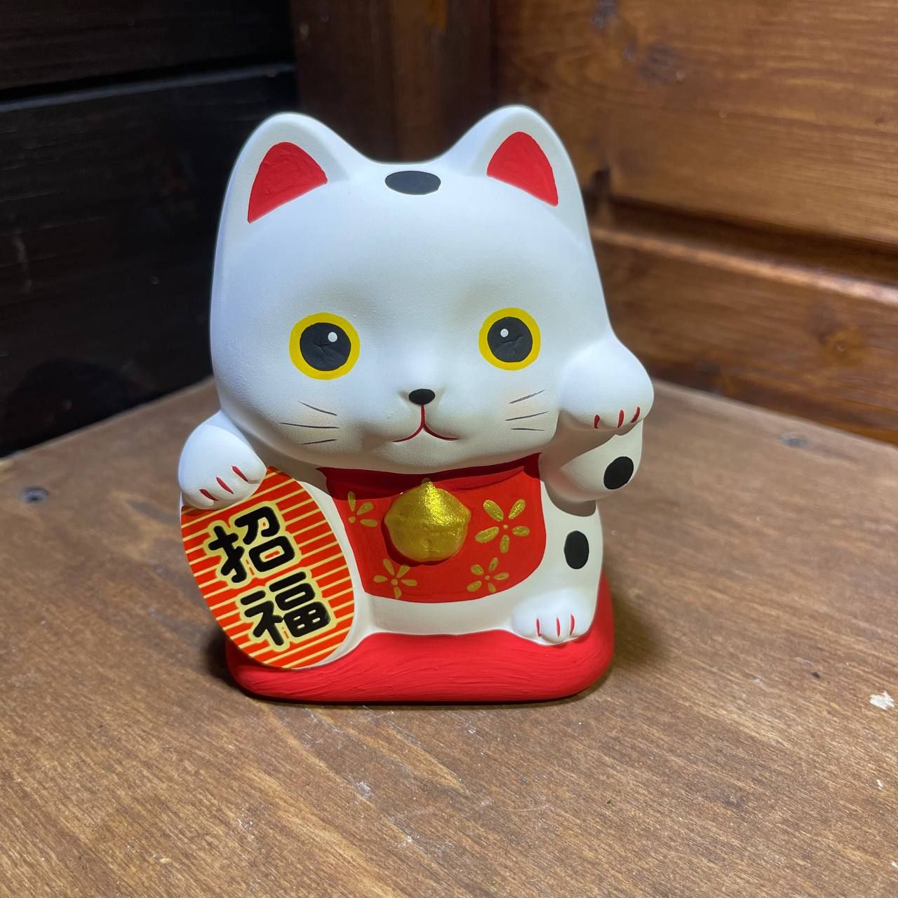 salvadanaio gattino bianco frontale